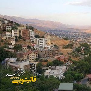 قالیشویی در دماوند